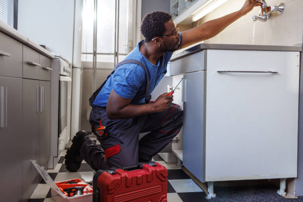 Best Residential Plumbing Services  in Raymond, IL